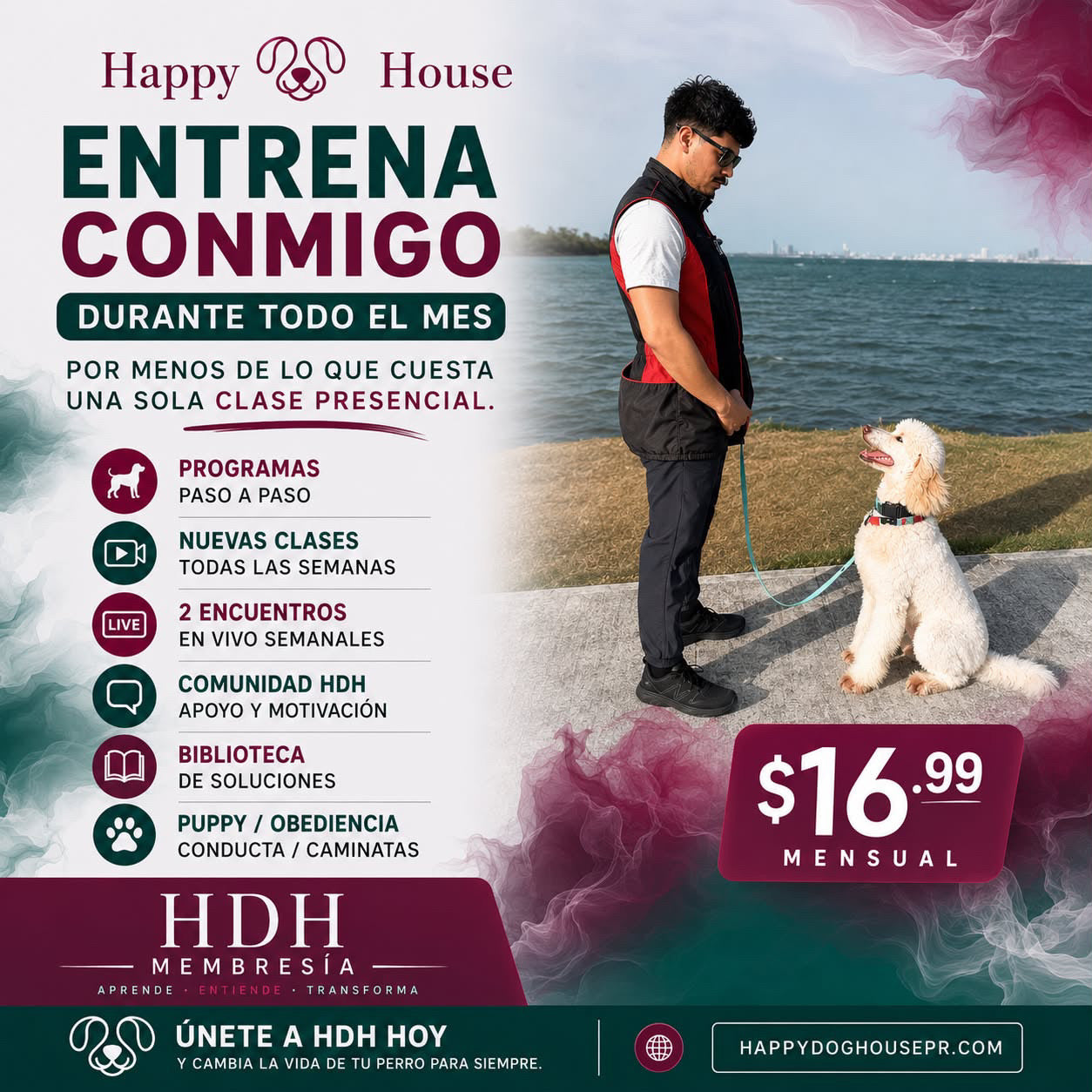 Suscripción HDH