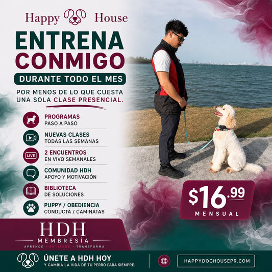 Suscripción HDH